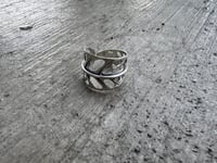 Image 3 of Swiss Cheese Monstera, size 6-7