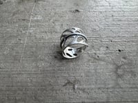 Image 4 of Swiss Cheese Monstera, size 6-7