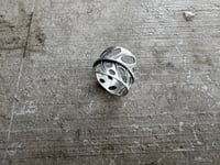 Image 2 of Swiss Cheese Monstera, size 6-7