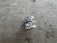 Image 5 of Swiss Cheese Monstera, size 6-7