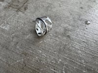 Image 6 of Swiss Cheese Monstera, size 6-7