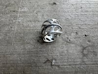 Image 7 of Swiss Cheese Monstera, size 6-7