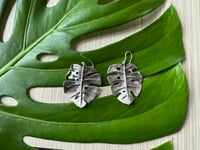 Image 3 of Monsteras Deliciosa earrings
