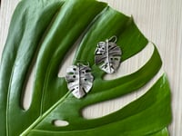 Image 4 of Monsteras Deliciosa earrings