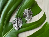 Image 5 of Monsteras Deliciosa earrings