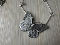 Image 4 of Monarch Butterfly