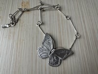 Image 5 of Monarch Butterfly