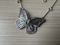 Image 7 of Monarch Butterfly