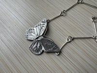 Image 1 of Monarch Butterfly