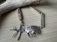 Image 3 of Moose Antler and Petrified Wood