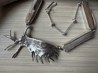 Image 6 of Moose Antler and Petrified Wood
