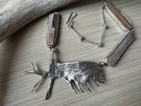 Image 7 of Moose Antler and Petrified Wood