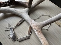 Image 8 of Moose Antler and Petrified Wood