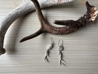 Image 3 of Mule Deer Antler earrings