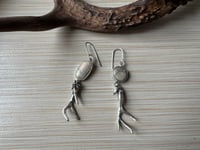 Image 4 of Mule Deer Antler earrings