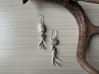 Image 5 of Mule Deer Antler earrings