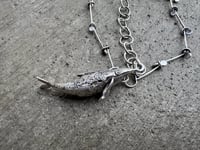 Image 6 of Humpback Whale