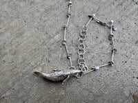 Image 1 of Humpback Whale