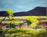 Image 1 of Fields of Gold