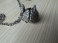 Image 4 of Armani, the ant-crazed yet apprehensive armadillo