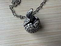 Image 1 of Armani, the ant-crazed yet apprehensive armadillo