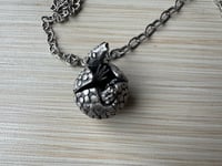 Image 5 of Armani, the ant-crazed yet apprehensive armadillo