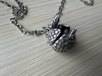 Image 3 of Armani, the ant-crazed yet apprehensive armadillo