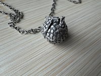 Image 2 of Armani, the ant-crazed yet apprehensive armadillo