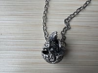 Image 8 of Armani, the ant-crazed yet apprehensive armadillo