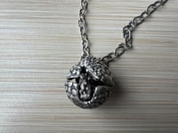 Image 6 of Armani, the ant-crazed yet apprehensive armadillo