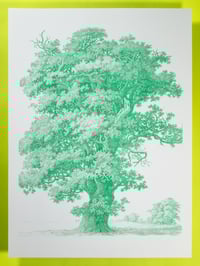 Studies after Nature... No. 6