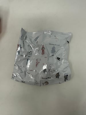 Image of Sonny Angel Animal Series Volume 3 Blind Box - Free Shipping