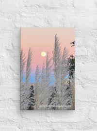 Image 2 of Full Moon and Pampas Grass - 8” X 12” Canvas Print