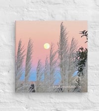 Image 2 of Full Moon and Pampas Grass - 12” X 12” Canvas Print 