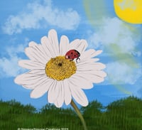  Ladybug Serenity 