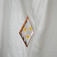 Image 2 of Pressed Flower Suncatcher - Buttercup and Blossoms