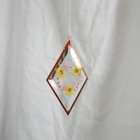 Image 3 of Pressed Flower Suncatcher - Buttercup and Blossoms