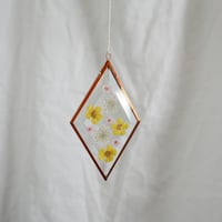 Image 1 of Pressed Flower Suncatcher - Buttercups