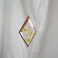 Image 2 of Pressed Flower Suncatcher - Buttercups