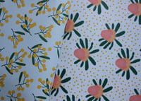 Image 7 of Australia – All Wrapped Up