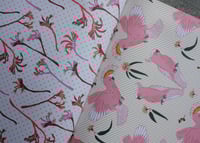 Image 9 of Australia – All Wrapped Up