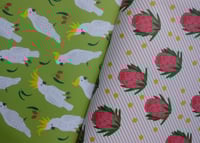 Image 10 of Australia – All Wrapped Up