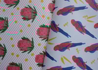 Image 11 of Australia – All Wrapped Up