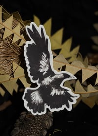 Magpie sticker