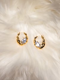 Image 2 of Niche Earrings