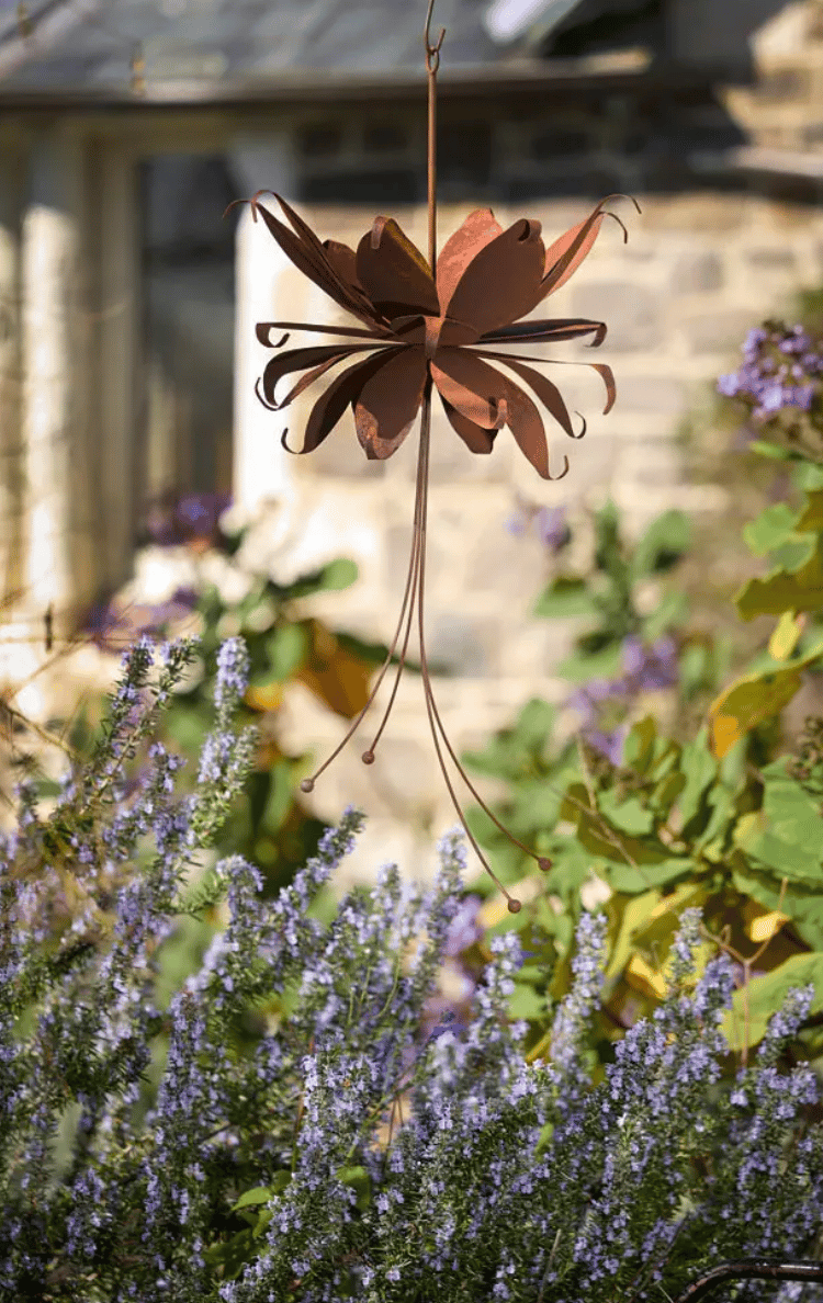 Image of Hanging Fuchsia - Rusted