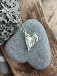 Image 2 of Mini Heart Leaf 