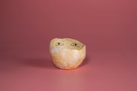 Image 3 of Bol-ojos Oparo