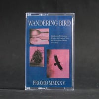 Wandering Bird - Promo MMXXV CS