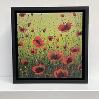 Image 1 of 'Poppy Meadow' framed canvas